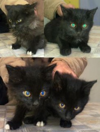 379682_292584430774935_100000701407875_1016767_64063789_n